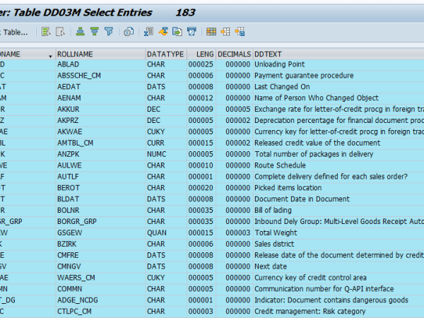 How to Retrieve SAP Table Metadata&nbsp;Efficiently